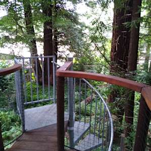 Redwood Cathedral Treehouse
