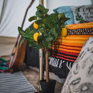 Mustang Valley Yurt Camping