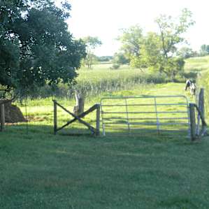 Oak Ridge Ranch