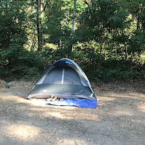 Our tent looks so tiny here... plenty of flat space which is shaded in the morning and the evening.
