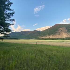 Robinson’s Roost