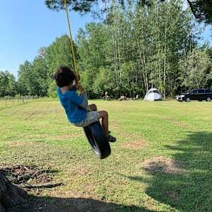 Camping with the Critters