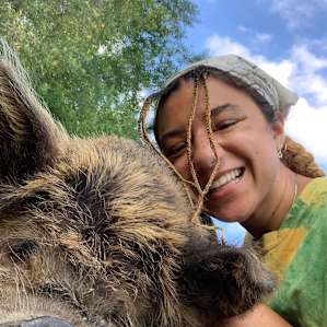 Camping with the Critters