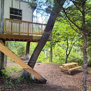 Treehouse on the Creek