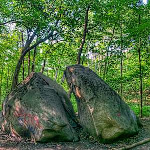 Prairie Creek Campground