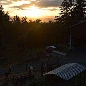 Empyrean Acres Solitary Getaway