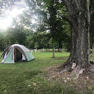 Chappel Hill Tree Farm