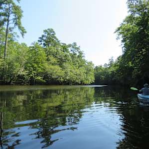 State park