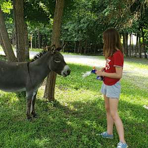 Vermont Farm Animal Rescue