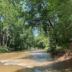 A look down the river from the swimming hole. We had just gotten a lot of rain so it was a bit muddy but really nice!
