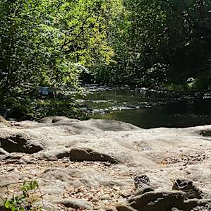 Tent Camping Creek View