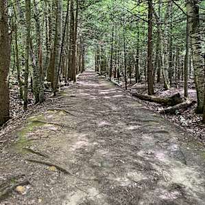 Green mtn primitive