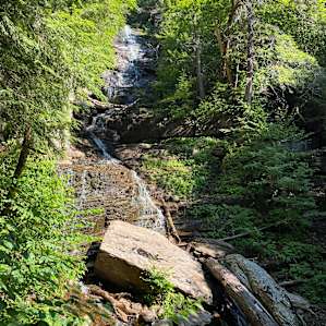 Green mtn primitive