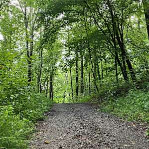 The 4-wheeler/hiking trails