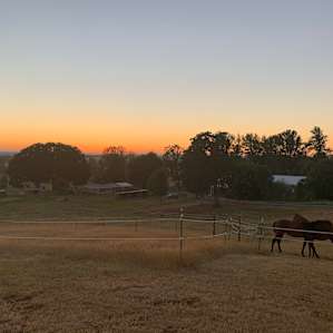 Horse Ranch near Silver Falls Park