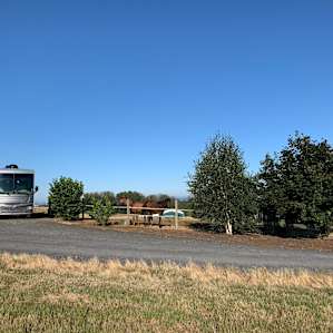 Horse Ranch near Silver Falls Park
