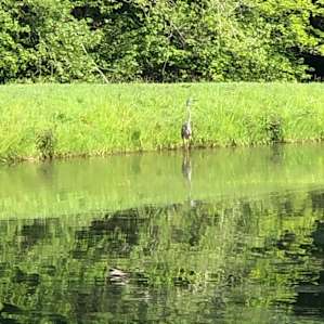 Fawn View Farm, fields and pond