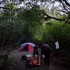 Virago Camp: Forest Sites