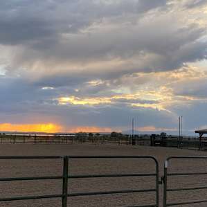 Jim Moss Arena and Camping