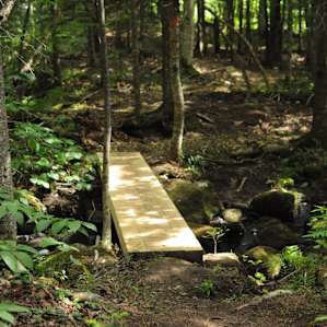 Franconia Forest - 5 Private Acres