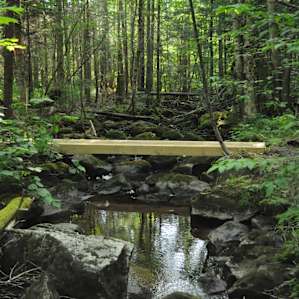 Franconia Forest - 5 Private Acres