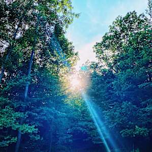 Sunshine