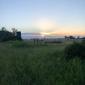 I Live in the Country