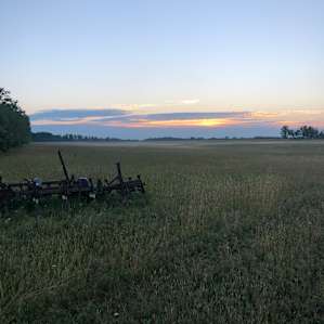 I Live in the Country