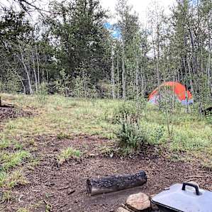 Clearing in the Aspen
