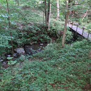 View of brook while on the porch.