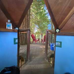 Redwood Cathedral Treehouse