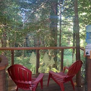 Redwood Cathedral Treehouse