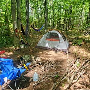Plenty of space to explore, collect firewood, and hammock!