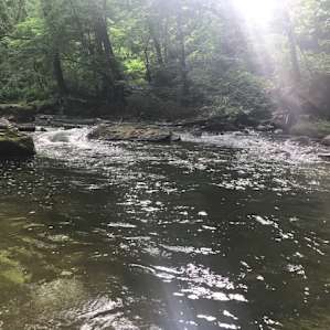 View from our tent in the morning.