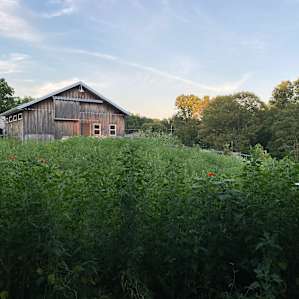 Sobremesa Farm
