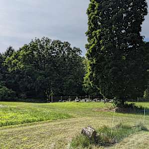 Old Apple Orchard Camp