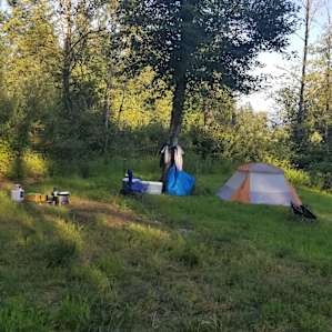 Woodpecker Meadow by Cherry Falls