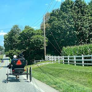 A beautiful day to watch the buggy riders!