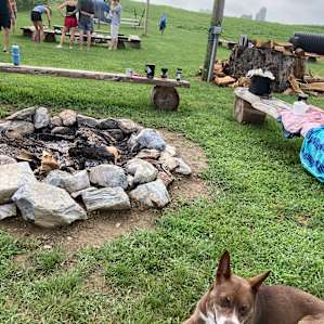 Enjoying camp!