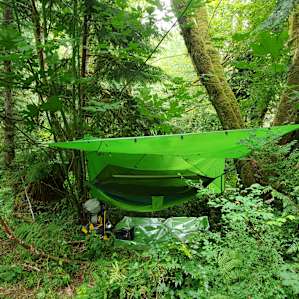 Forest Canopy Creekside - #3
