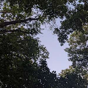 Perfect hammock space