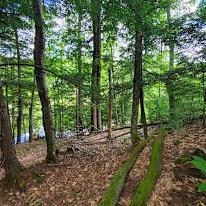 Camp Escape: The Waterside