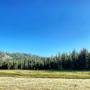 More meadow and sky.