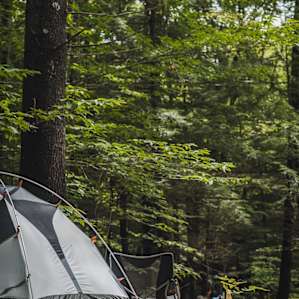 tent