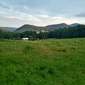 Tent Camping with Amazing Views