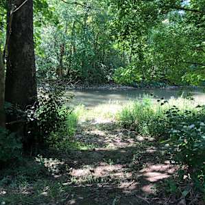 Campsite #2