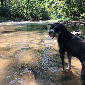 Todd’s Fork Adventures