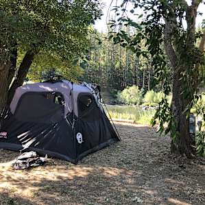 Quigleys Station Riverfront RV Park