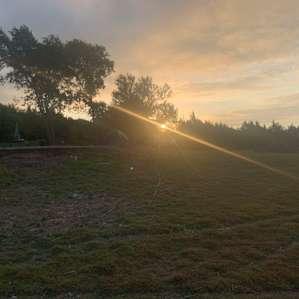 Lakefront Paradise Tent Site