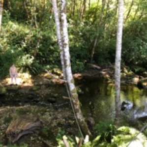 Teepee on the water savage streams